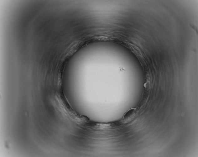 X0000096190665200801181009
