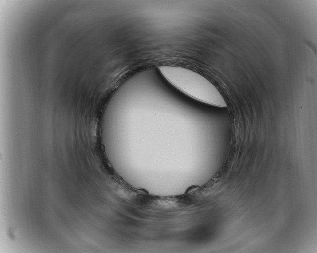 X0000096190668200801181009