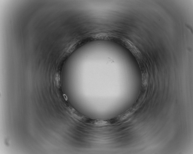 X0000096190669200801181009
