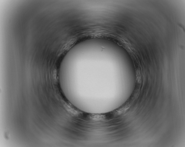 X0000096190670200801181010