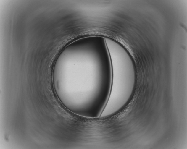 X0000096190673200801181009