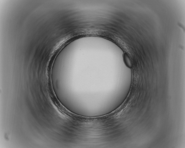 X0000096190674200801181009