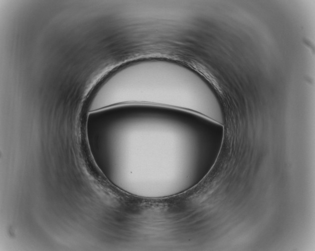 X0000096190676200801181009