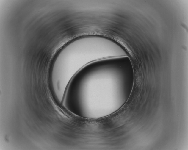 X0000096190677200801181009