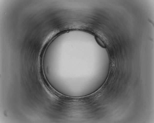 X0000096190678200801181009