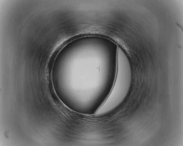 X0000096190680200801181009