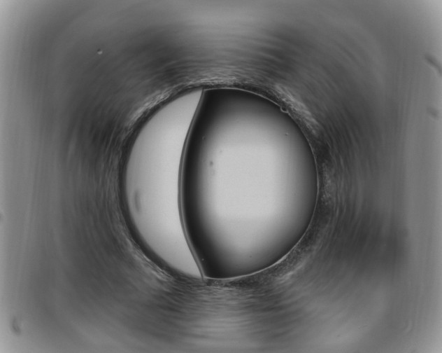 X0000096190681200801181009