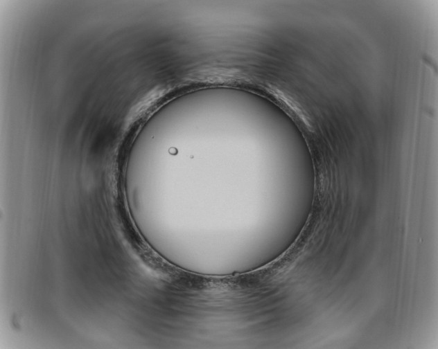 X0000096190682200801181009