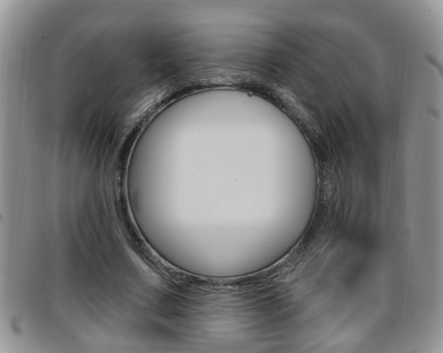 X0000096190683200801181009