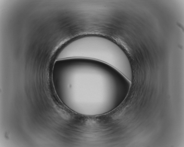X0000096190684200801181009