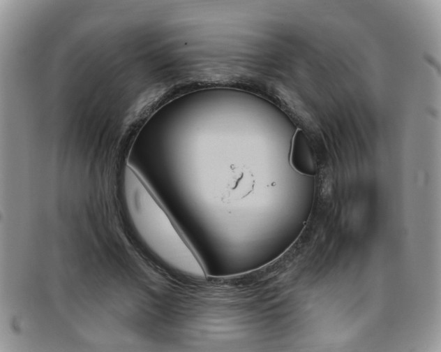X0000096190685200801181009