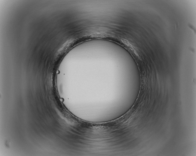 X0000096190686200801181009
