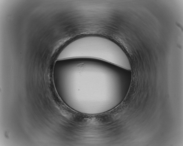 X0000096190688200801181009