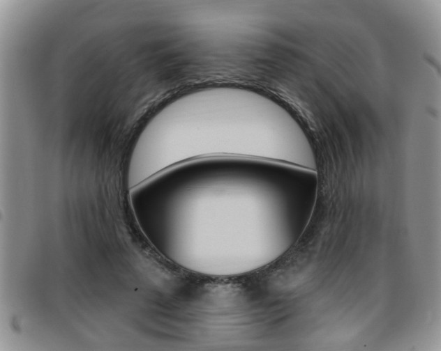 X0000096190689200801181008