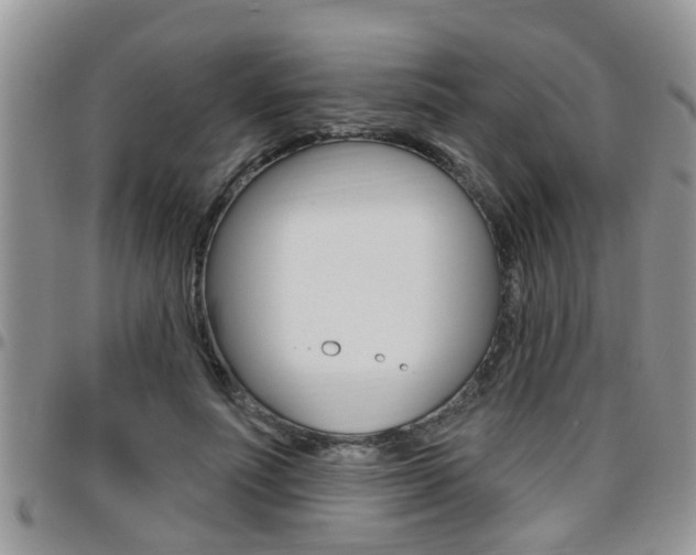 X0000096190691200801181008