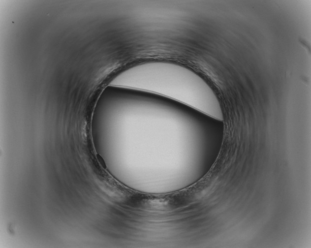 X0000096190692200801181008
