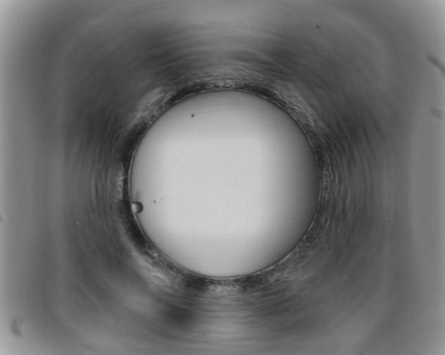 X0000096190694200801181008