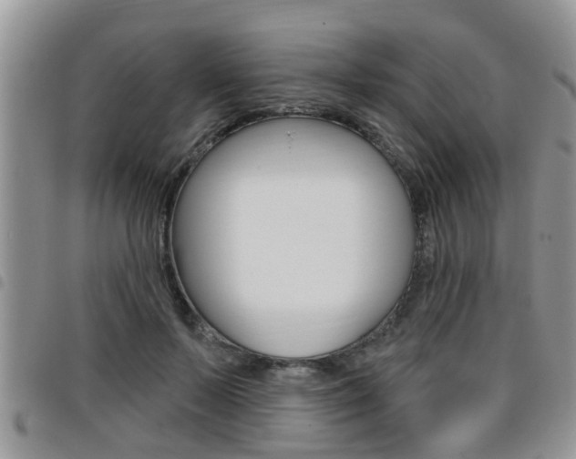 X0000096190695200801181008