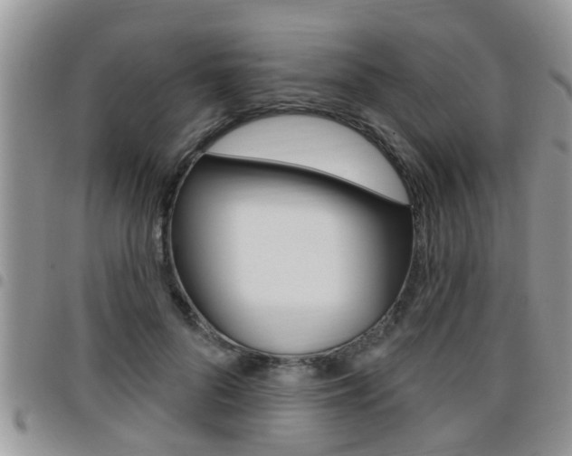 X0000096190696200801181008