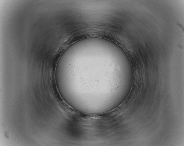 X0000096190698200801181008