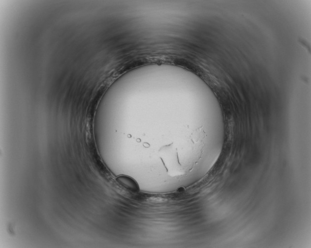 X0000096190699200801181008