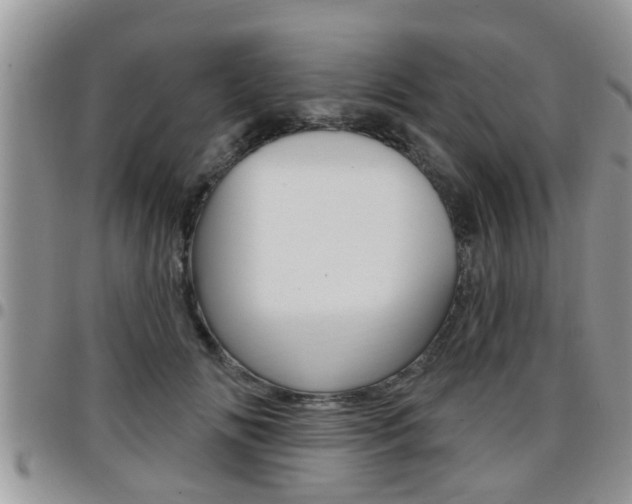 X0000096190702200801181008