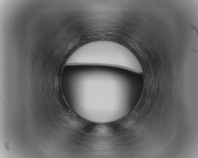 X0000096190704200801181008