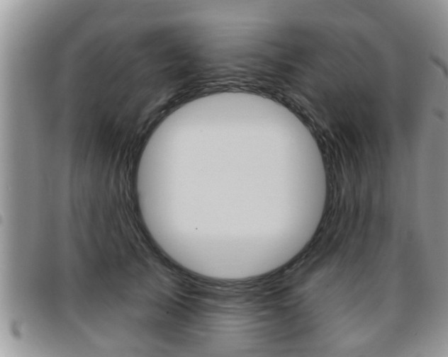 X0000096190705200801181008