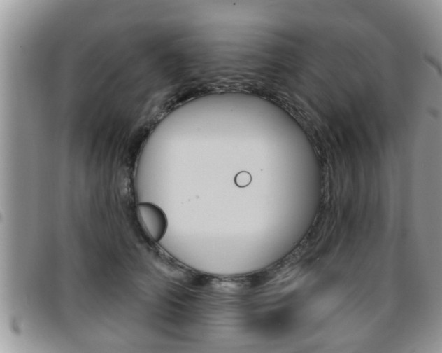 X0000096190706200801181008