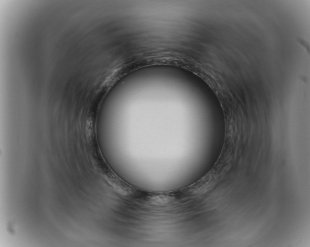 X0000096190708200801181008