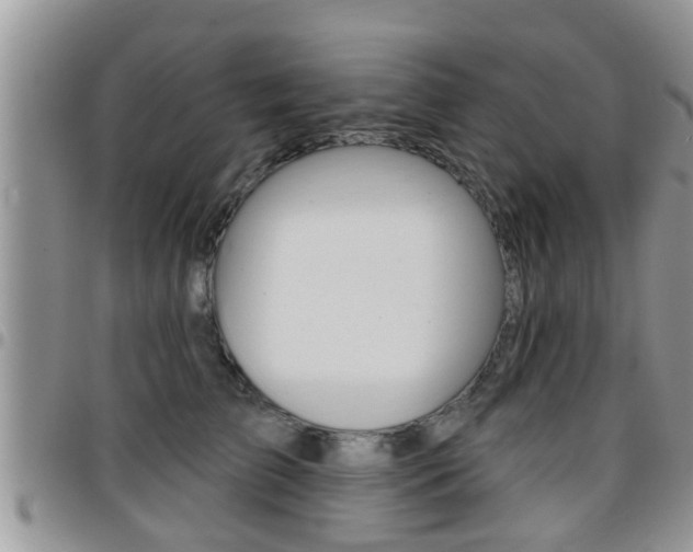 X0000096190709200801181008