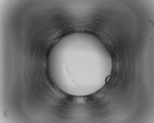 X0000096190710200801181008