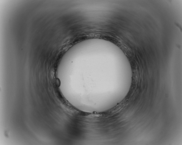 X0000096190711200801181008