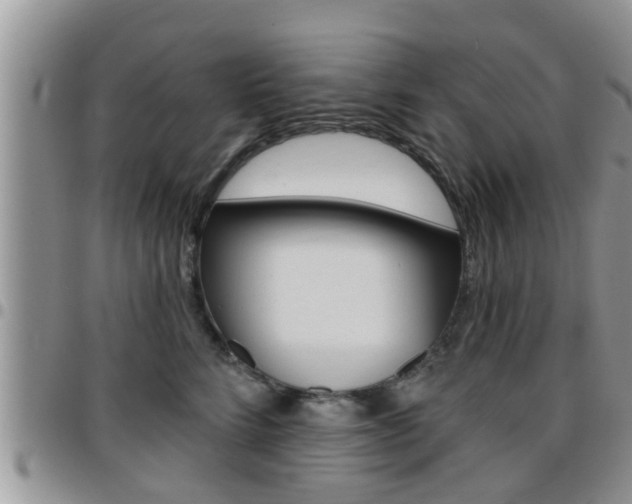 X0000096190712200801181008