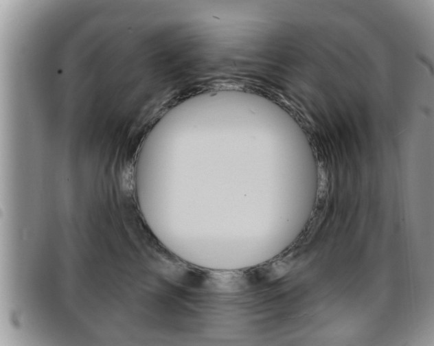 X0000096190713200801181008