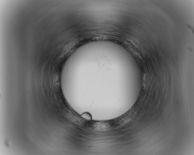 X0000096190714200801181008