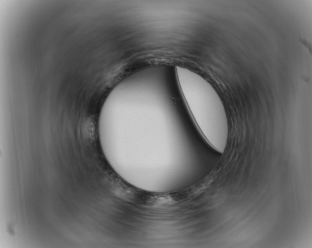 X0000096190715200801181008