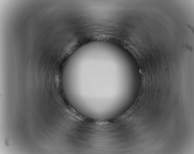 X0000096190716200801181008