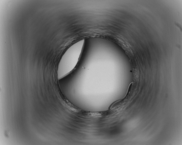 X0000096190719200801181008