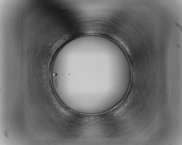 X0000096190721200801181007
