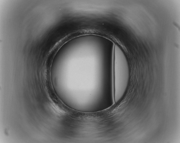 X0000096190722200801181007