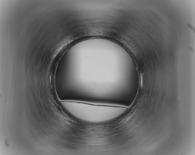 X0000096190723200801181007