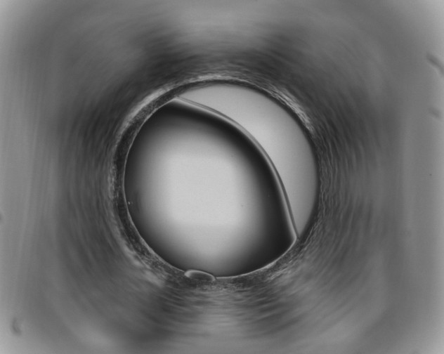 X0000096190724200801181007