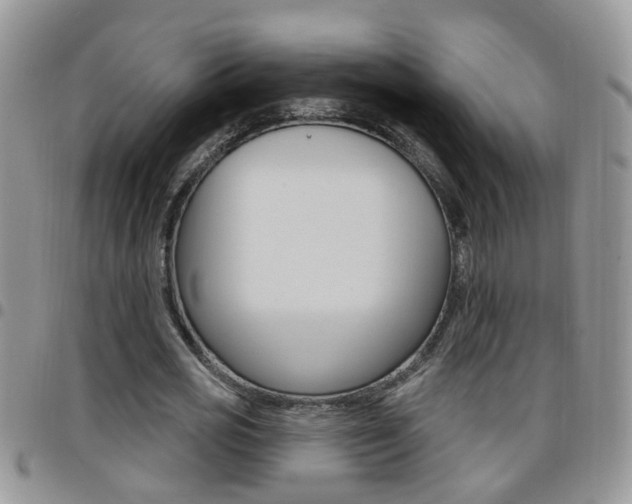 X0000096190725200801181007
