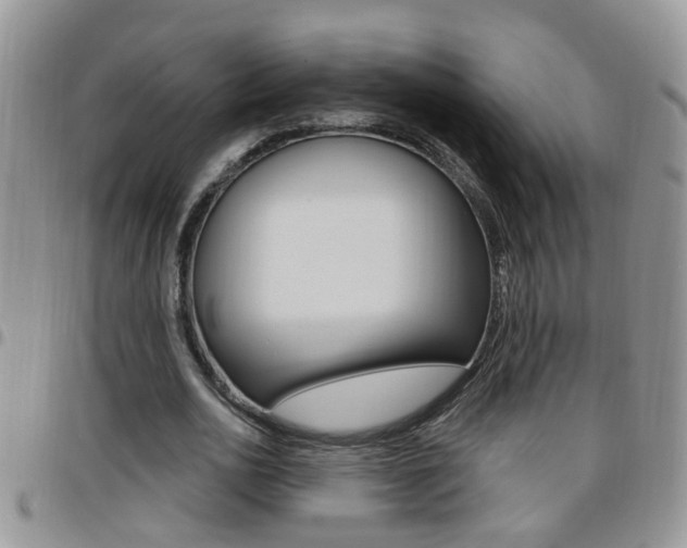 X0000096190726200801181007