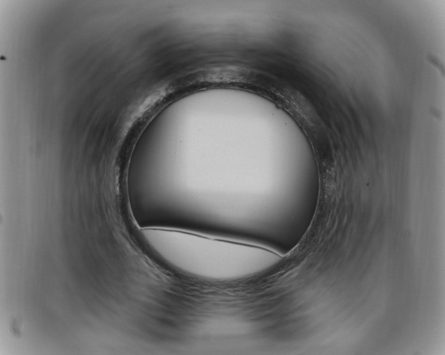 X0000096190727200801181007