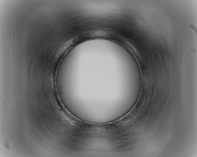X0000096190729200801181008