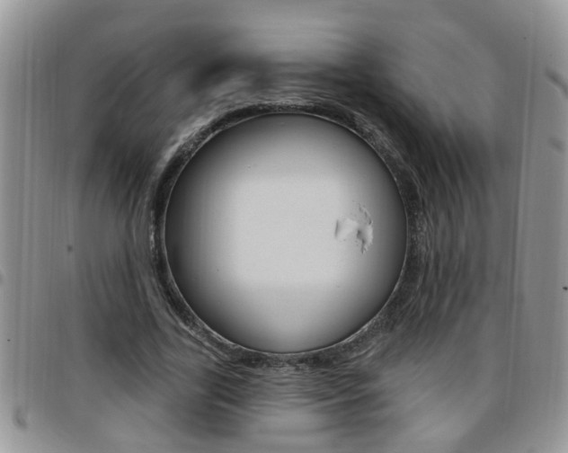 X0000096190731200801181008
