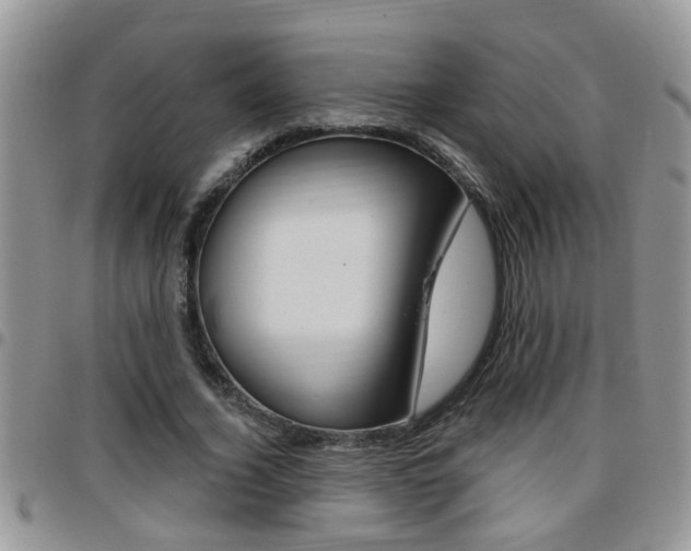 X0000096190732200801181008