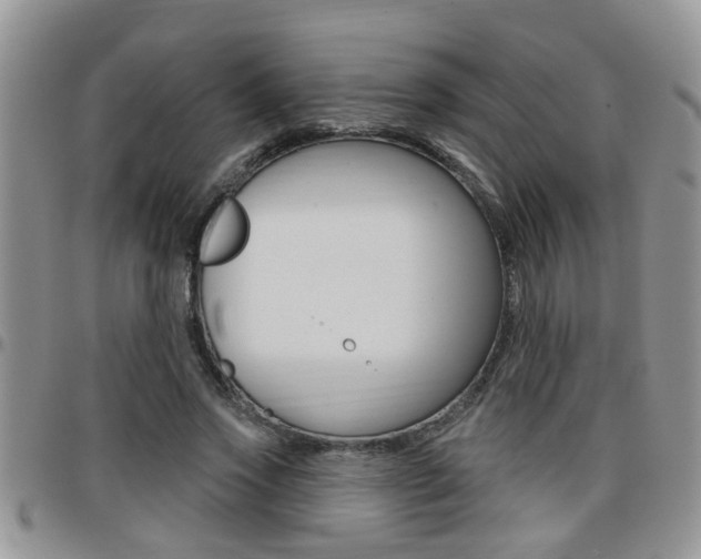 X0000096190733200801181008